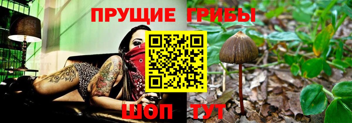 Галлюциногенные грибы мухоморы Россия