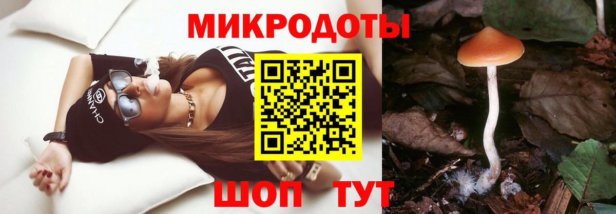 наркошоп  Галлюциногенные грибы Psilocybine cubensis  Вход с VPN  Россия 