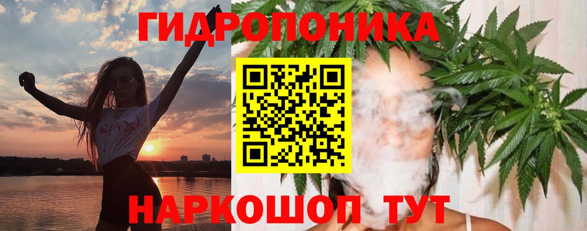 Канабис сатива  Вход с VPN  Бошки Шишки SATIVA & INDICA  Россия 
